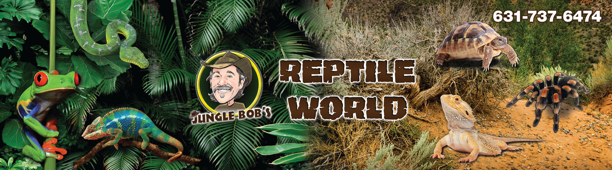 The online reptile outlet shop