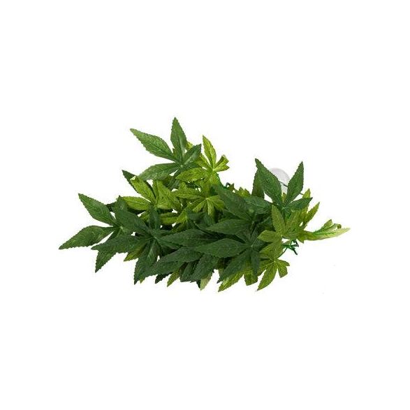 REPTIZOO - Terrarium Decoration - Terrarium Plant - Iha Leaves - M (TP003 16”)