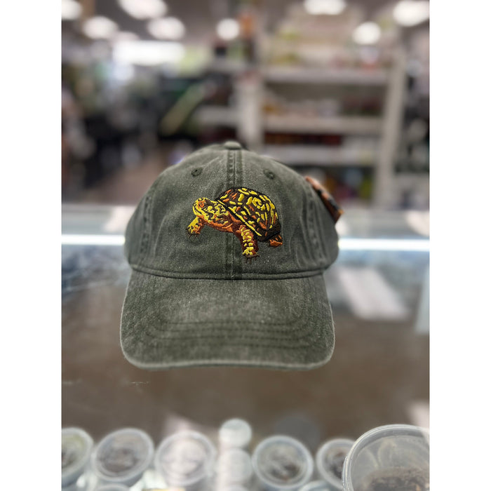 Box Turtle Cap