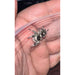 White Apalachicola Regal Jumping Spider:Jungle Bob's Reptile World