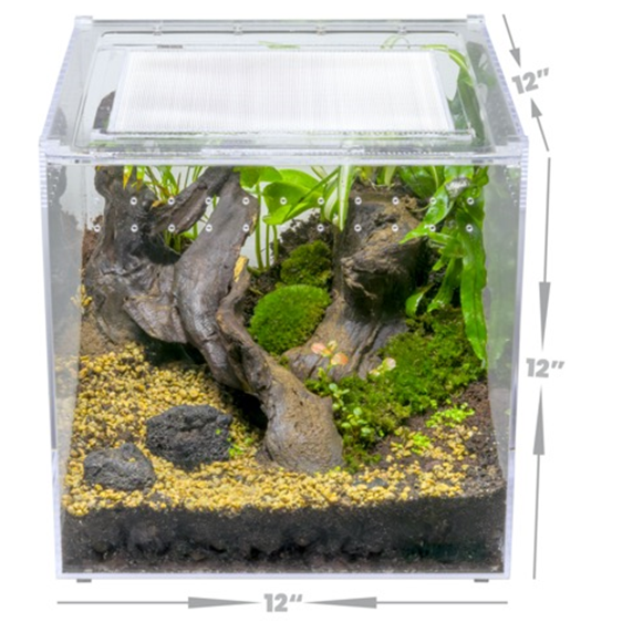 YKL68C HerpCult Acrylic Enclosure XLarge Screen Top 12"x12"x12" 7.5G