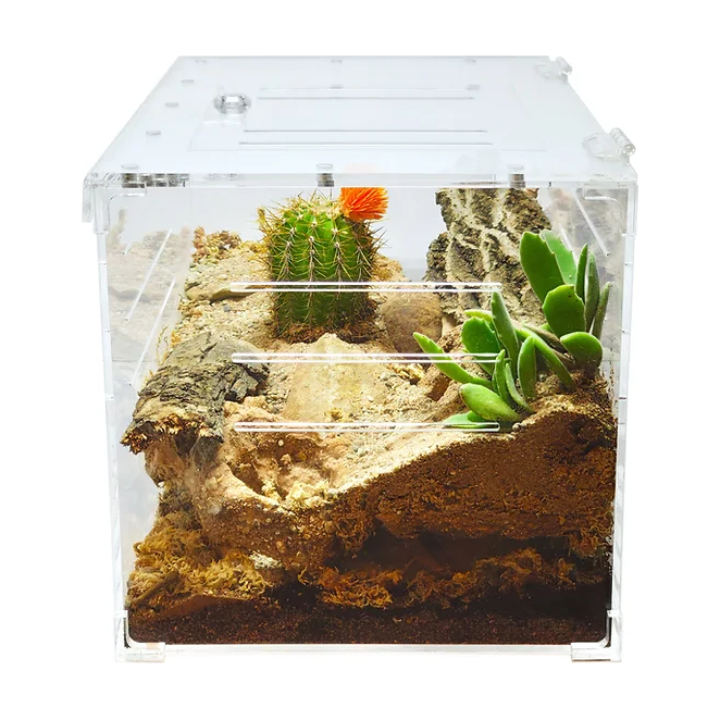 YKL80A HerpCult Acrylic Enclosure Solid Top Invertible Large 10"x10"x16" 7 Gallon - STORE PICK UP ONLY:Jungle Bob's Reptile World