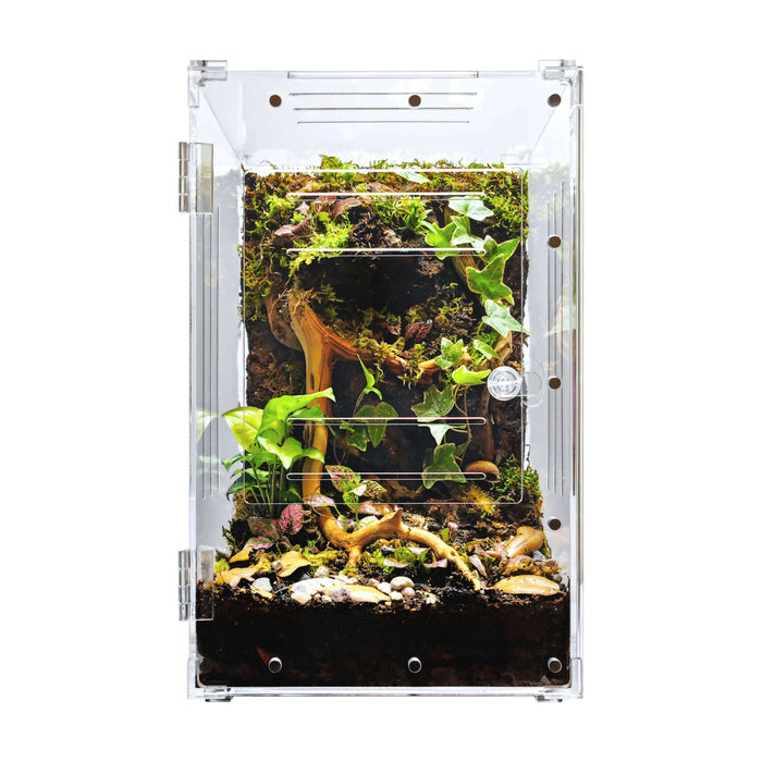 Clear Plastic Terrarium Boxes by Jungle Bob — Jungle Bobs Reptile World