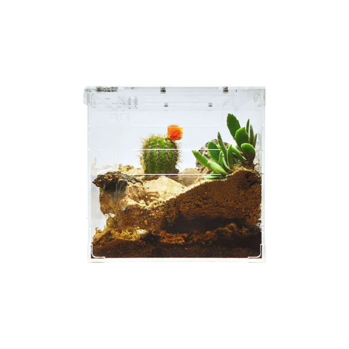 YKL80A HerpCult Acrylic Enclosure Solid Top Invertible Large 10"x10"x16" 7 Gallon - STORE PICK UP ONLY:Jungle Bob's Reptile World