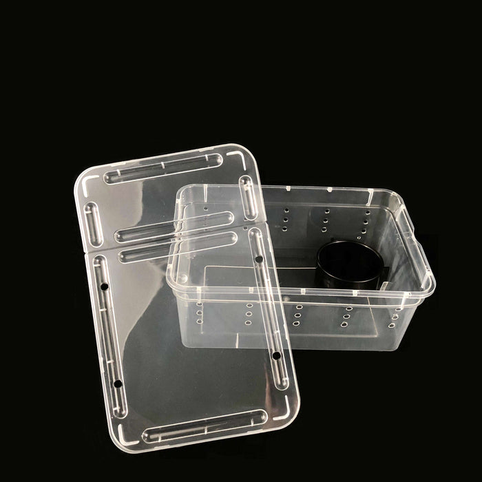 Clear Plastic Terrarium Boxes by Jungle Bob — Jungle Bobs Reptile
