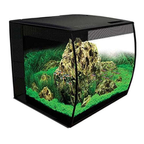 https://www.junglebobsreptileworld.com/cdn/shop/products/fluval-flex-57l-aquarium-kit-black-15gsupplies---kits---aquarium-kitsjungle-bobs-reptile-world-31075518_80049e31-7bff-4126-9306-4e61dfac0a51_500x500.jpg?v=1697664520