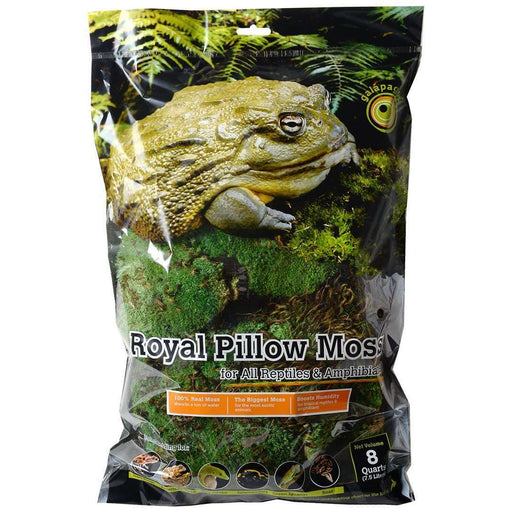 Sphagnum Moss for Reptiles Small Bag .4oz — Jungle Bobs Reptile World