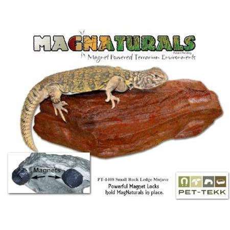 Clear Plastic Terrarium Boxes by Jungle Bob — Jungle Bobs Reptile World