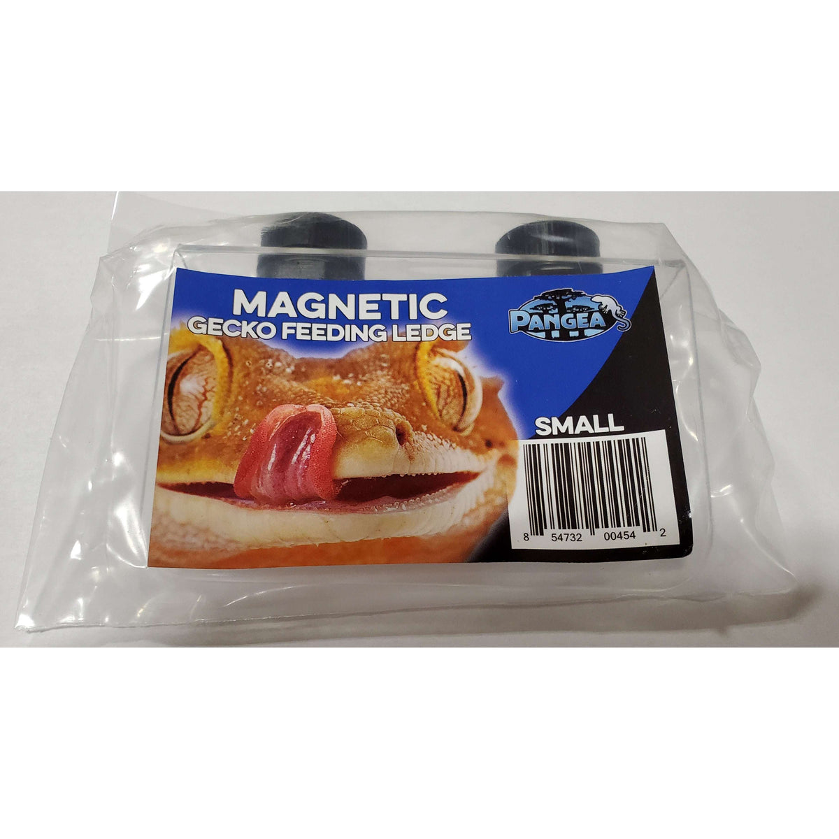 Pangea magnetic feeder gecko ledge best sale