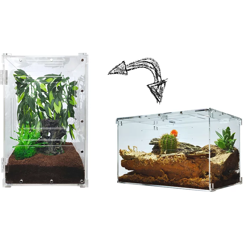 YKL80A Acrylic Enclosure Large 10x10x16 7 Gallon — Jungle Bobs Reptile  World